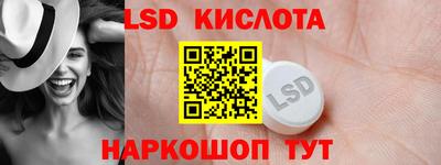 спайс Кингисепп