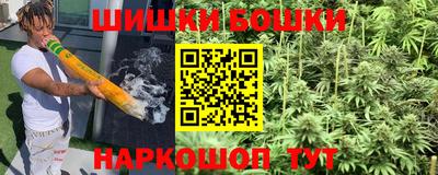 спайс Кингисепп