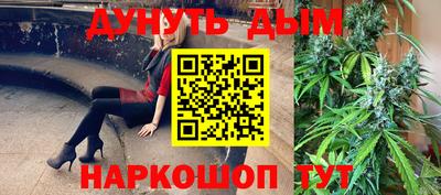 спайс Кингисепп