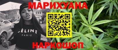 спайс Кингисепп