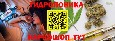 спайс Кингисепп