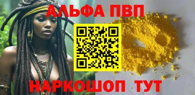 спайс Кингисепп