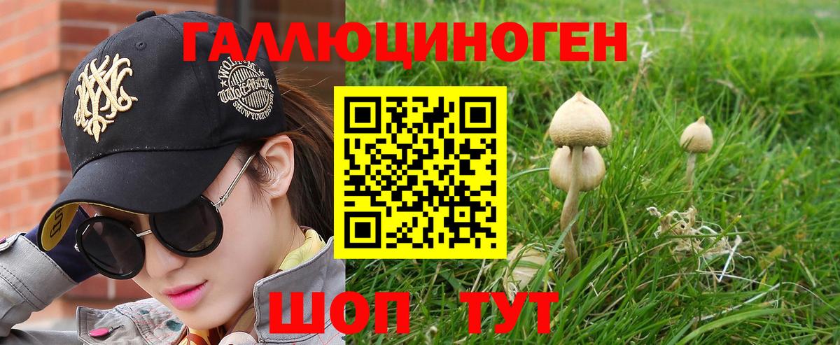 Галлюциногенные грибы ЛСД  Галлюциногенные грибы Psilocybe  Вход с VPN  Ленинск-Кузнецкий 
